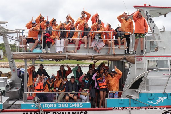 Shark cage diving, Gansbaai, Western Cape