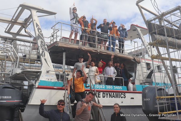 Shark cage diving, Gansbaai, Western Cape