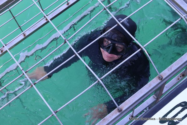 Shark Cage Diving, South Africa