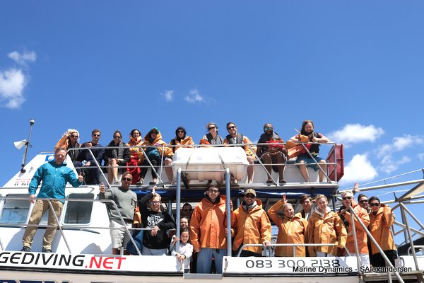 Shark Cage Diving, South Africa