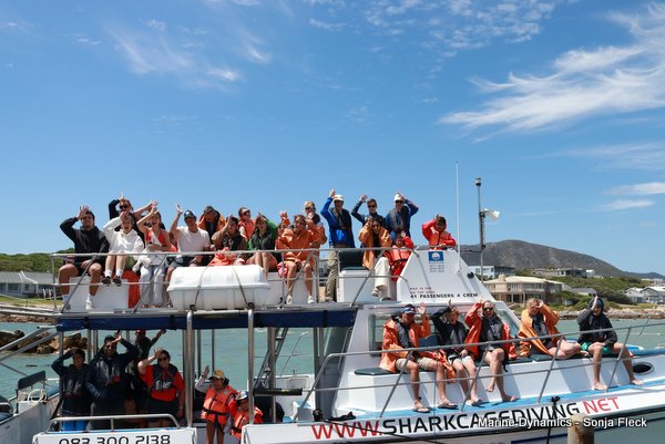 Shark cage diving, Gansbaai, Western Cape