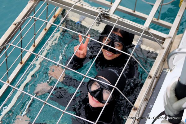 Shark Cage Diving, South Africa