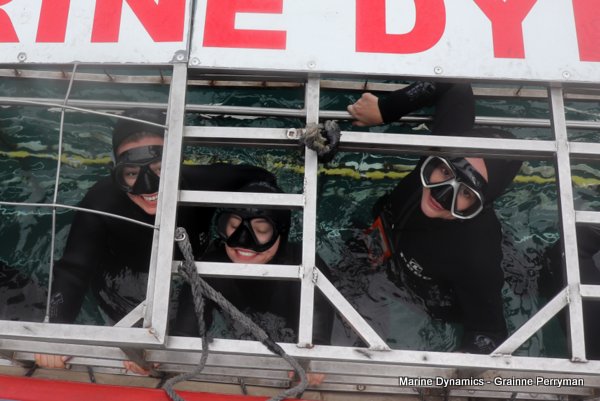 Shark Cage Diving, South Africa