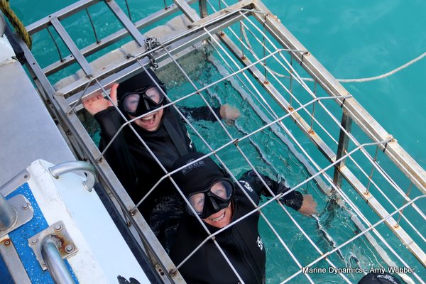 Shark Cage Diving, South Africa
