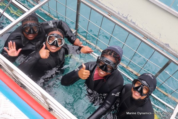 Shark Cage Diving, South Africa