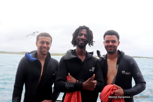 Shark Cage Diving, South Africa