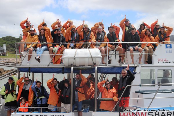 Shark Cage Diving, South Africa