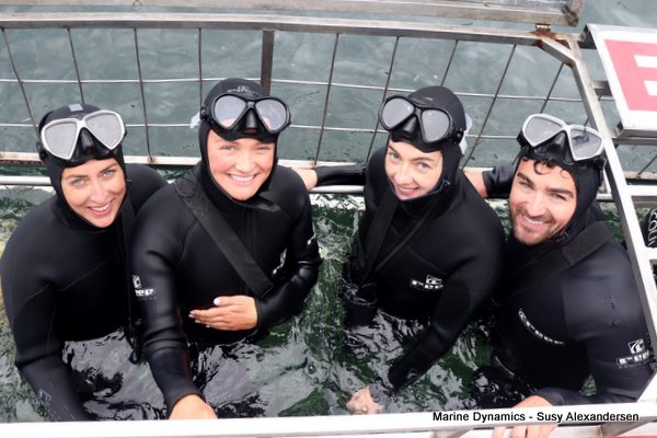 Shark Cage Diving, South Africa