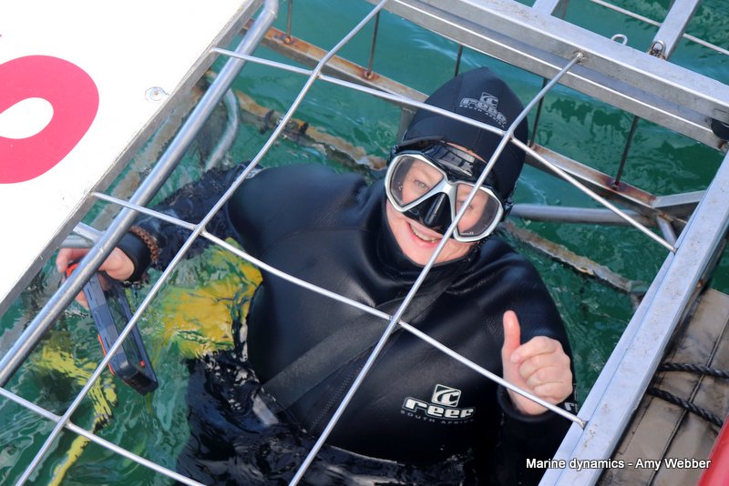 Shark Cage Diving, South Africa