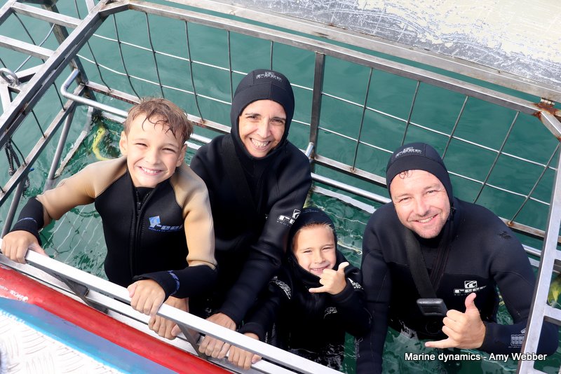 Shark Cage Diving, South Africa