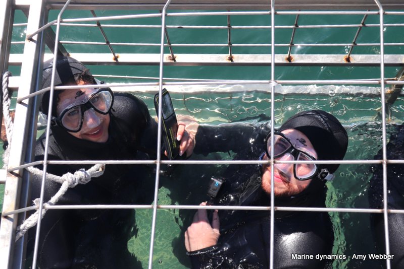 Shark Cage Diving, South Africa