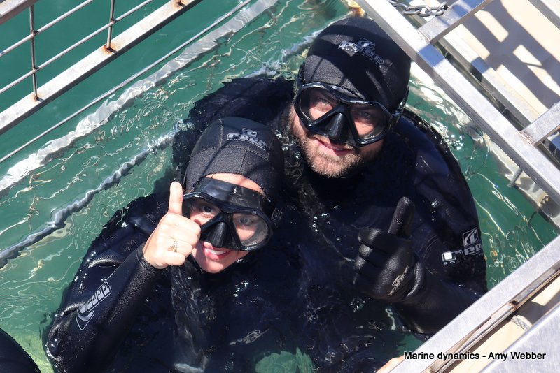 Shark Cage Diving, South Africa