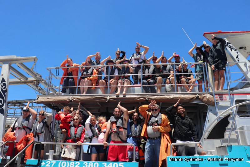 Shark Cage Diving, South Africa