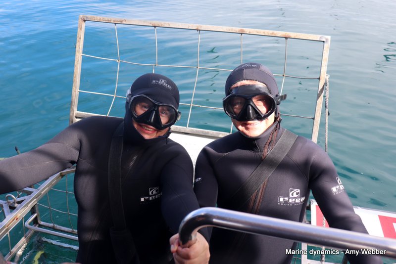 Shark Cage Diving, South Africa