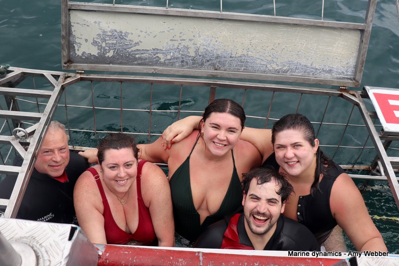 Shark Cage Diving, South Africa