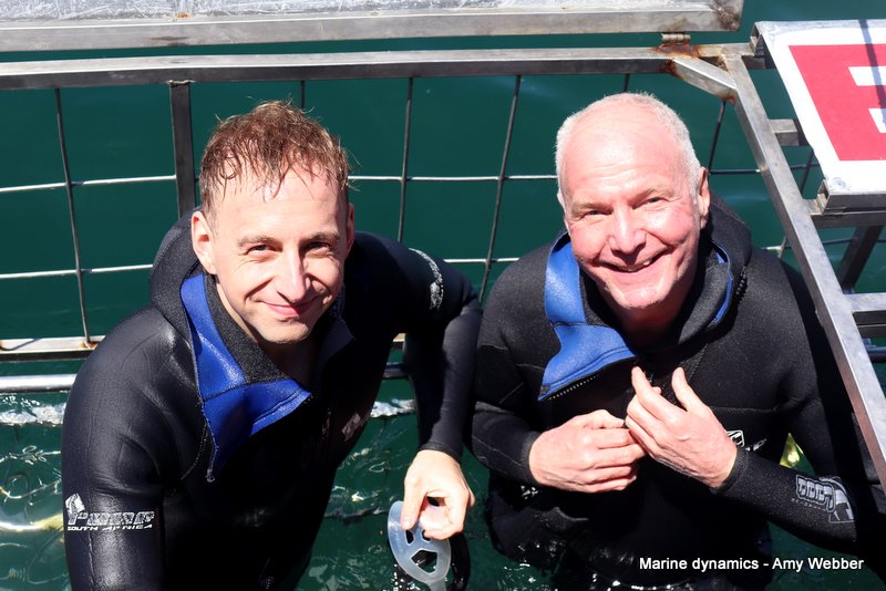 Shark Cage Diving, South Africa