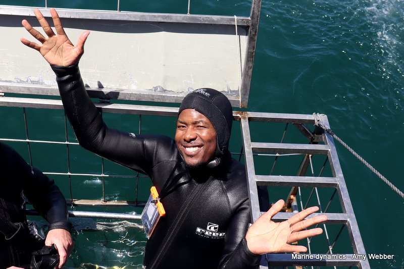 Shark Cage Diving, South Africa