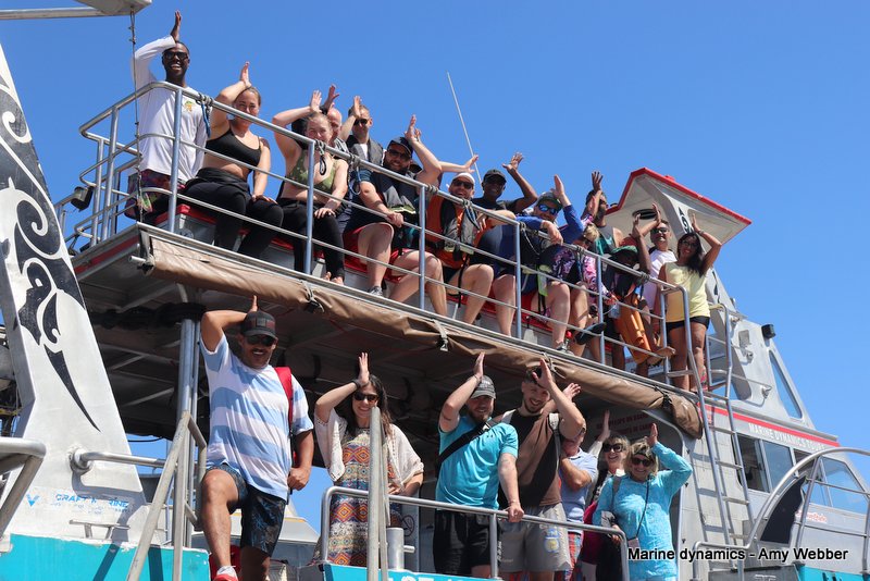 Shark Cage Diving, South Africa