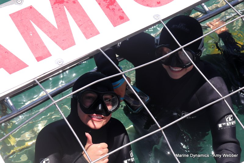 Shark Cage Diving, South Africa