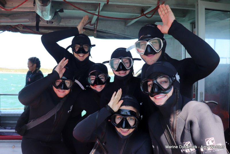 Shark Cage Diving, South Africa