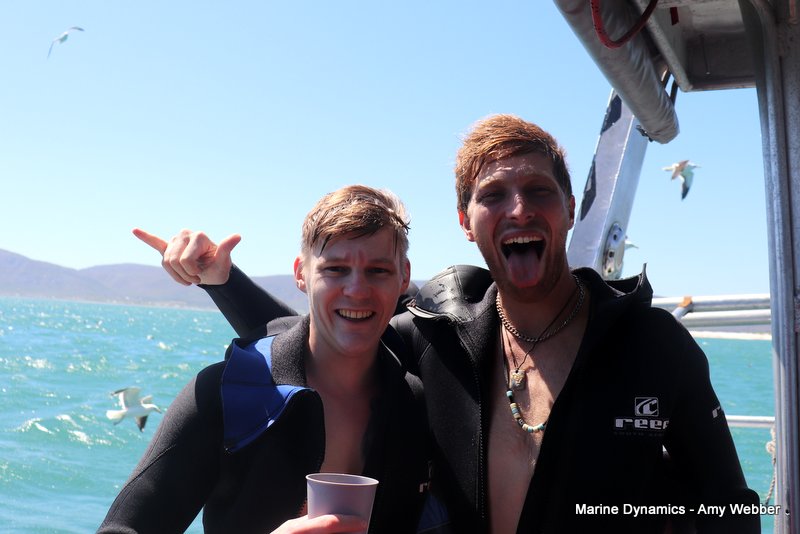Shark Cage Diving, South Africa