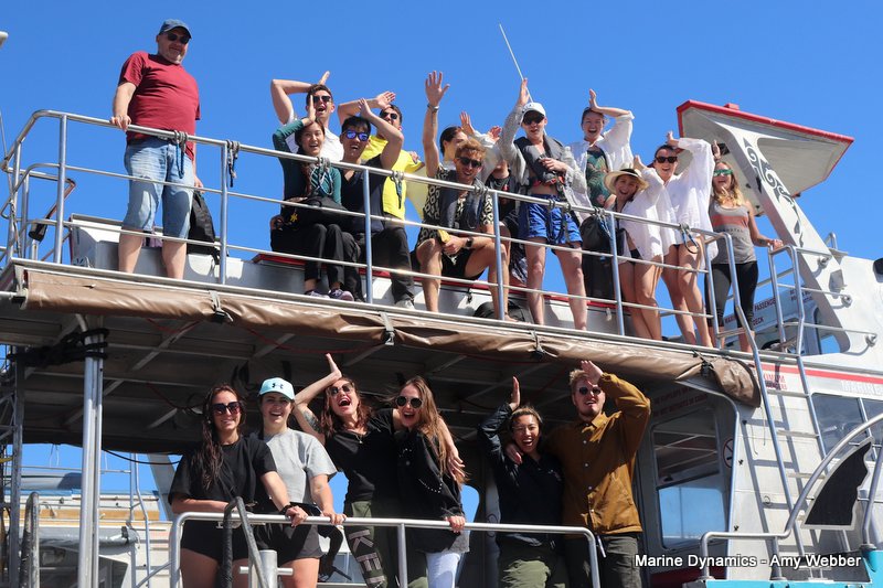 Shark Cage Diving, South Africa