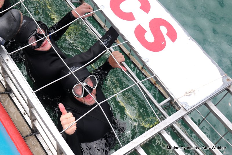Shark Cage Diving, South Africa