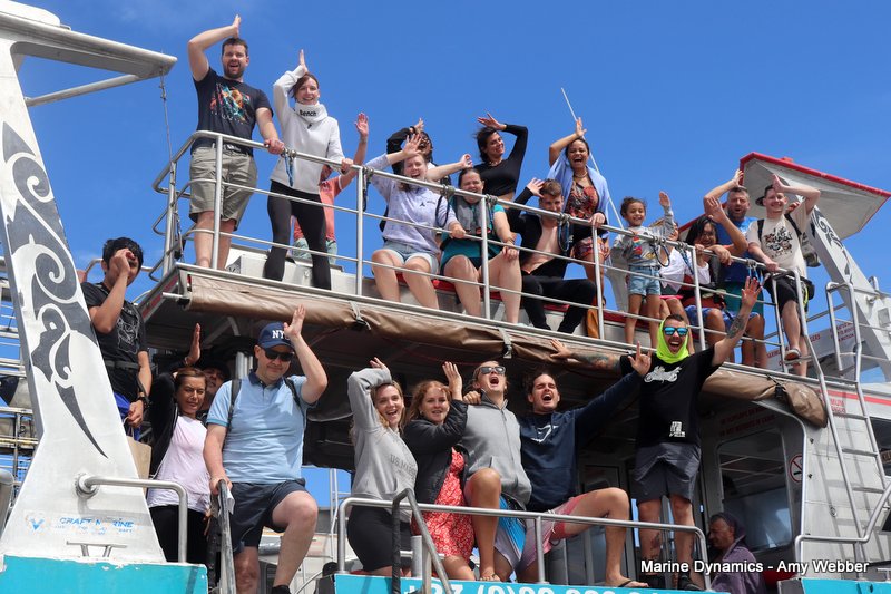 Shark Cage Diving, South Africa