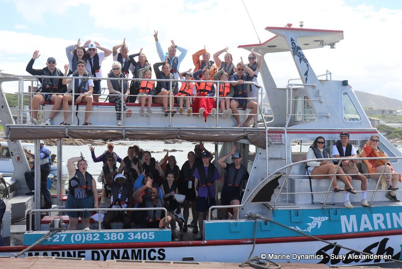 Shark cage diving, south africa