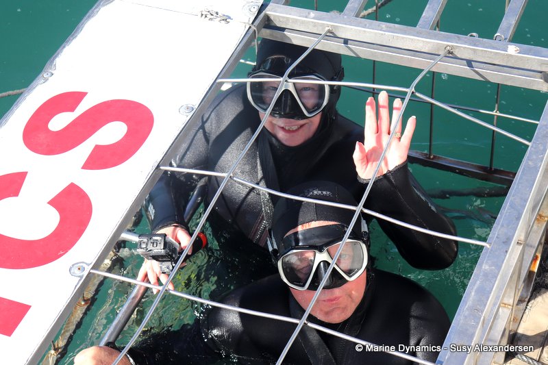 Shark cage diving, South Africa