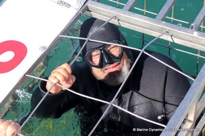 Shark cage diving, South Africa