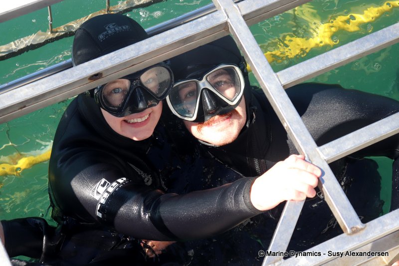 Shark cage diving, South Africa