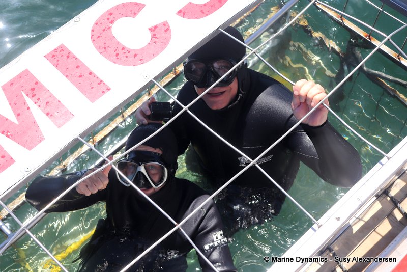 Shark Cage Diving, South Africa