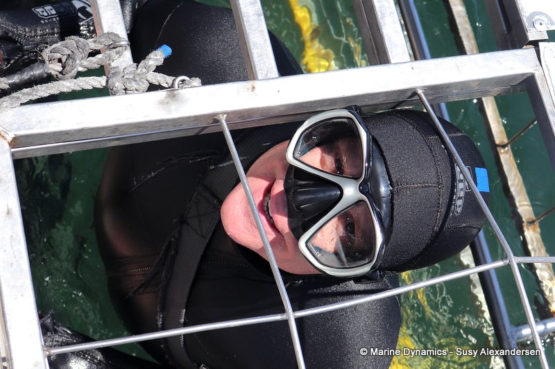Shark Cage Diving, South Africa