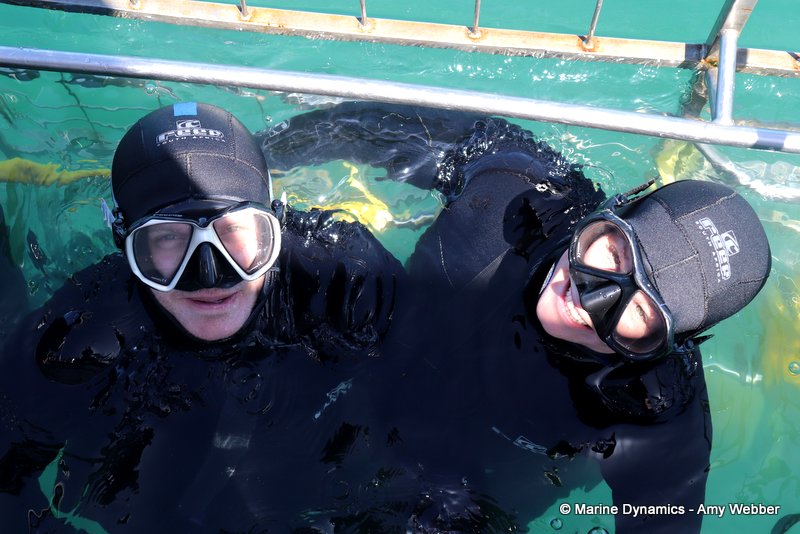 Shark Cage Diving, South Africa