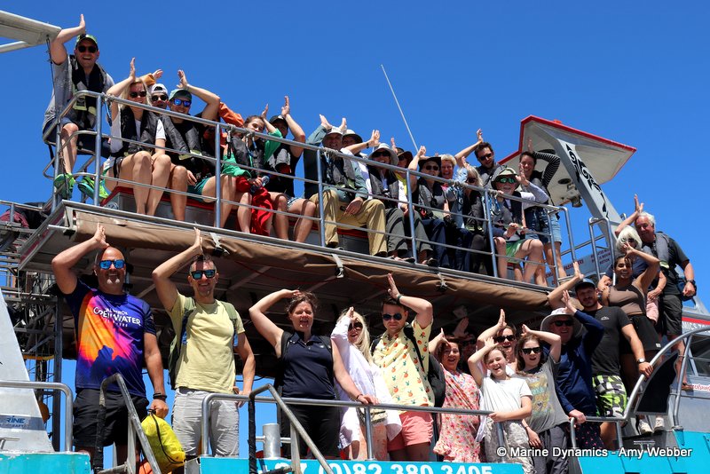 Shark Cage Diving, South Africa