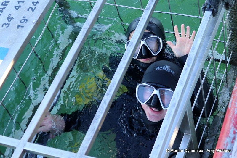 Shark Cage Diving, South Africa