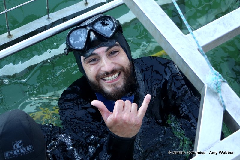 Shark Cage Diving, South Africa