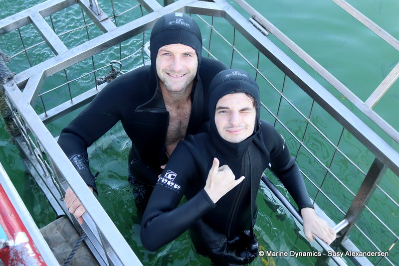 Shark Cage Diving, South Africa