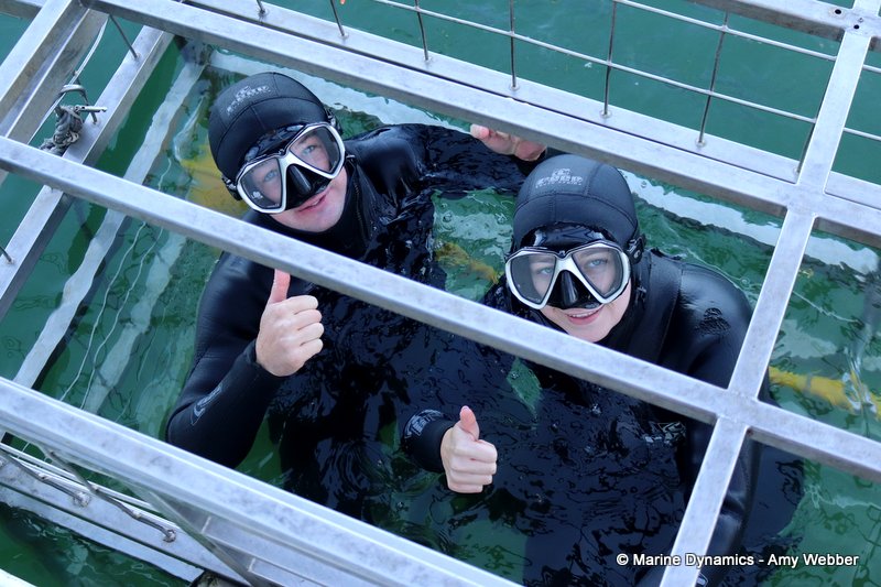 Shark Cage Diving, South Africa