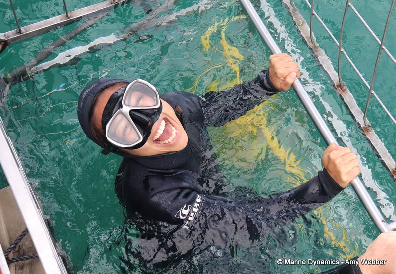 Shark Cage Diving, South Africa