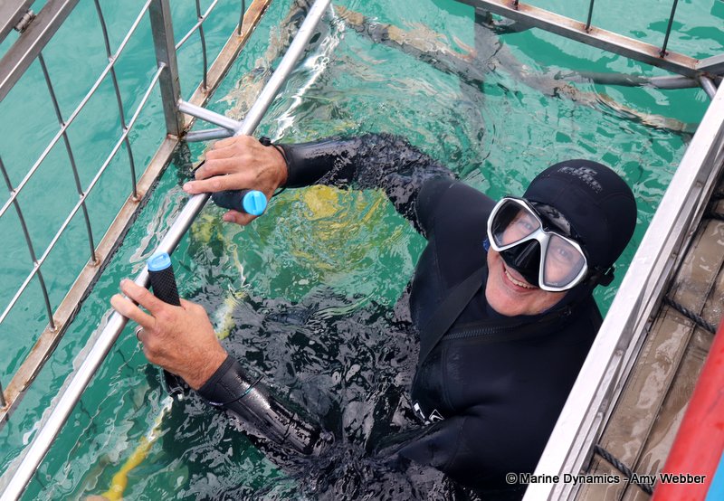 Shark Cage Diving, South Africa