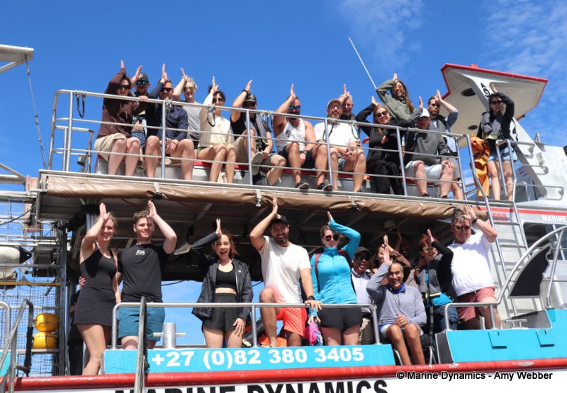 Shark Cage Diving, South Africa