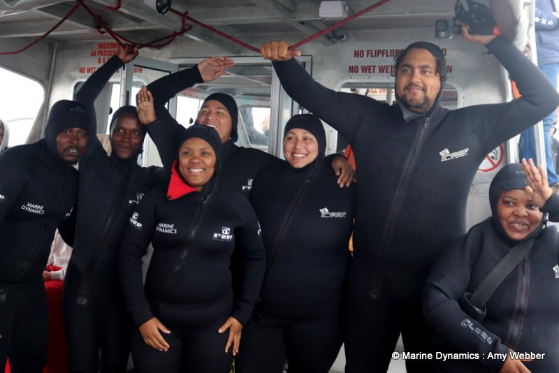 Shark Cage Diving, South Africa