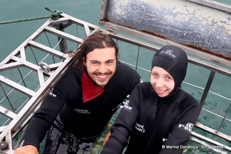Shark Cage Diving, South Africa
