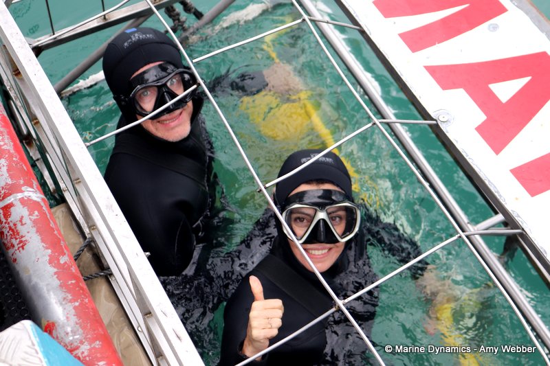 Shark Cage Diving, South Africa