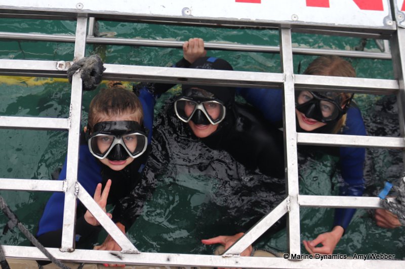 Shark Cage Diving, South Africa