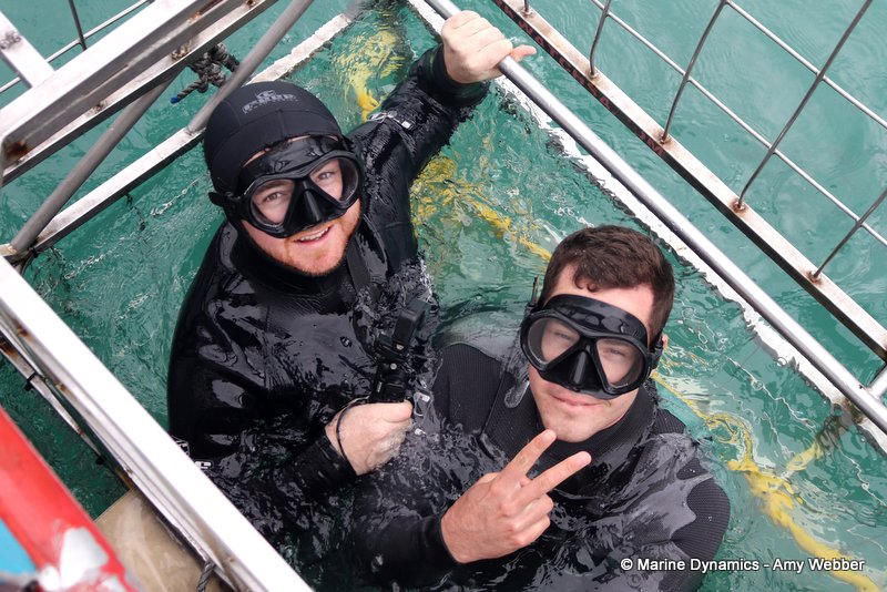 Shark Cage Diving, South Africa
