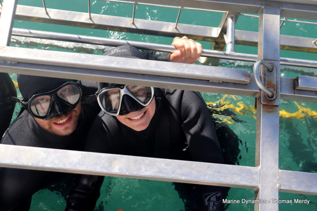 Shark cage diving, South Africa, Gansbaai