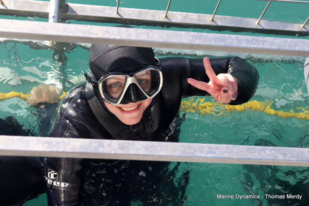 Shark cage diving, South Africa, Gansbaai